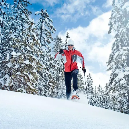 Exquisite Vacation In Near Ski Area Mittersill